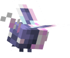 Bug